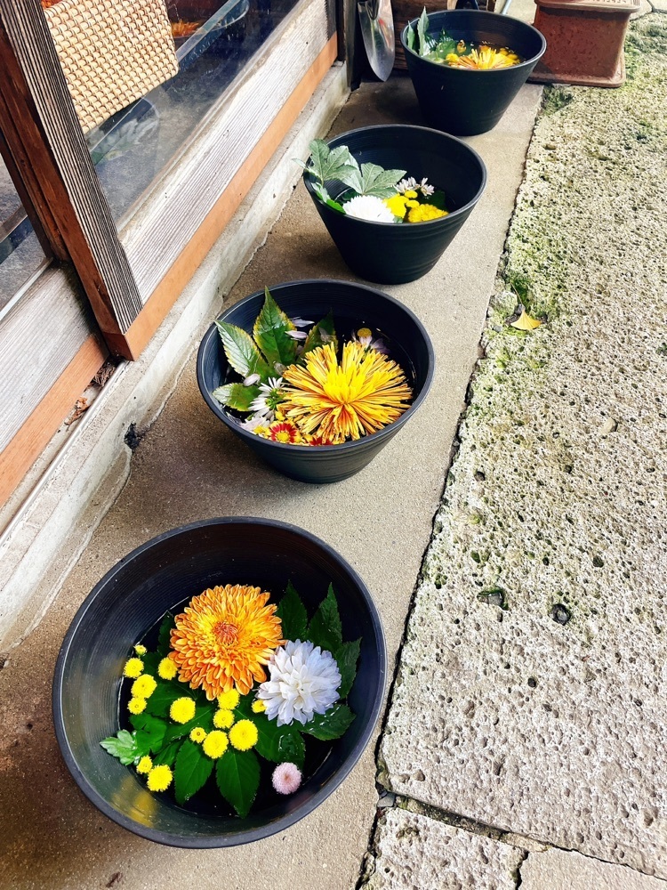 猫なぎ。さんが投稿したicho cafeに関する口コミの画像