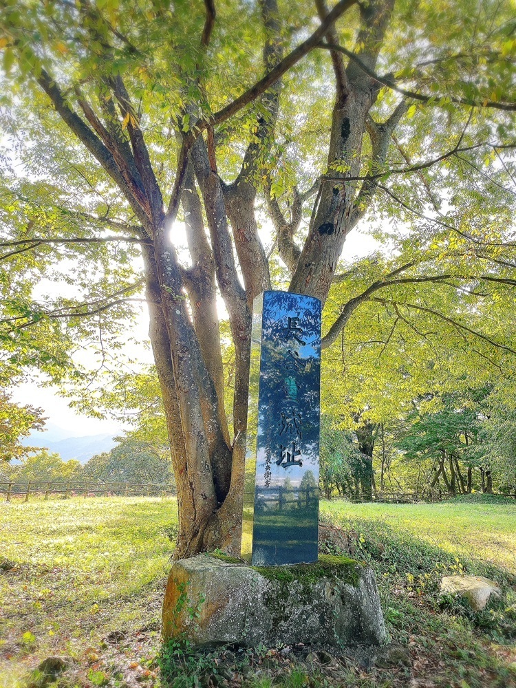 猫なぎ。さんが投稿した長谷堂城跡（長谷堂城跡公園）に関する口コミの画像