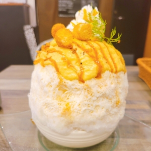 農菜・生パスタ&グリル terra（テラ） 3枚目