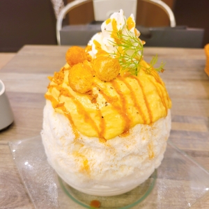 農菜・生パスタ&グリル terra（テラ） 4枚目