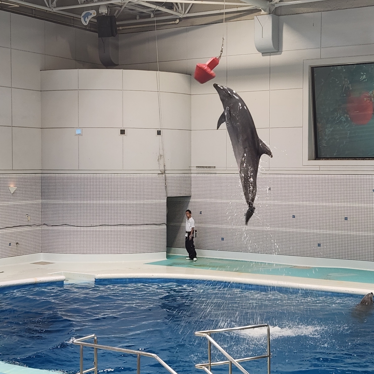 hitomiさんが投稿したいおワールドかごしま水族館 アミューズメントショップに関する口コミの画像