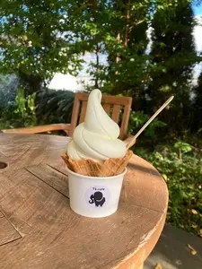 ティーズカフェ（T's cafe）
