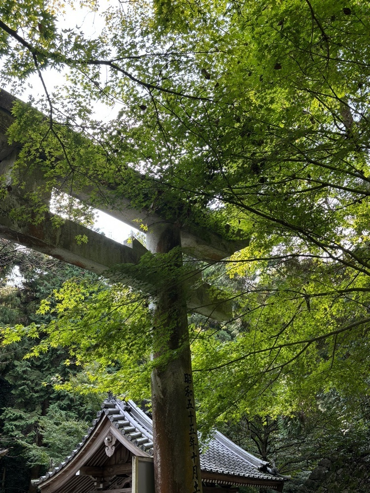 みーなさんが投稿した石鎚神社に関する口コミの画像