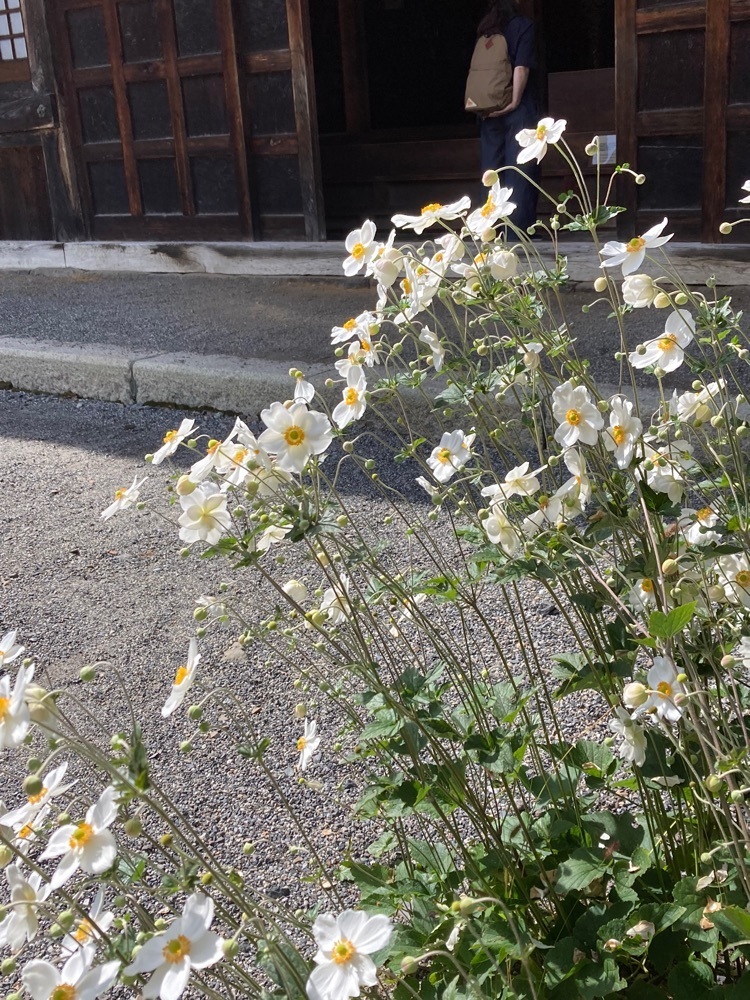 delicious_museum_7212さんが投稿した長泉寺（奈良井宿）に関する口コミの画像
