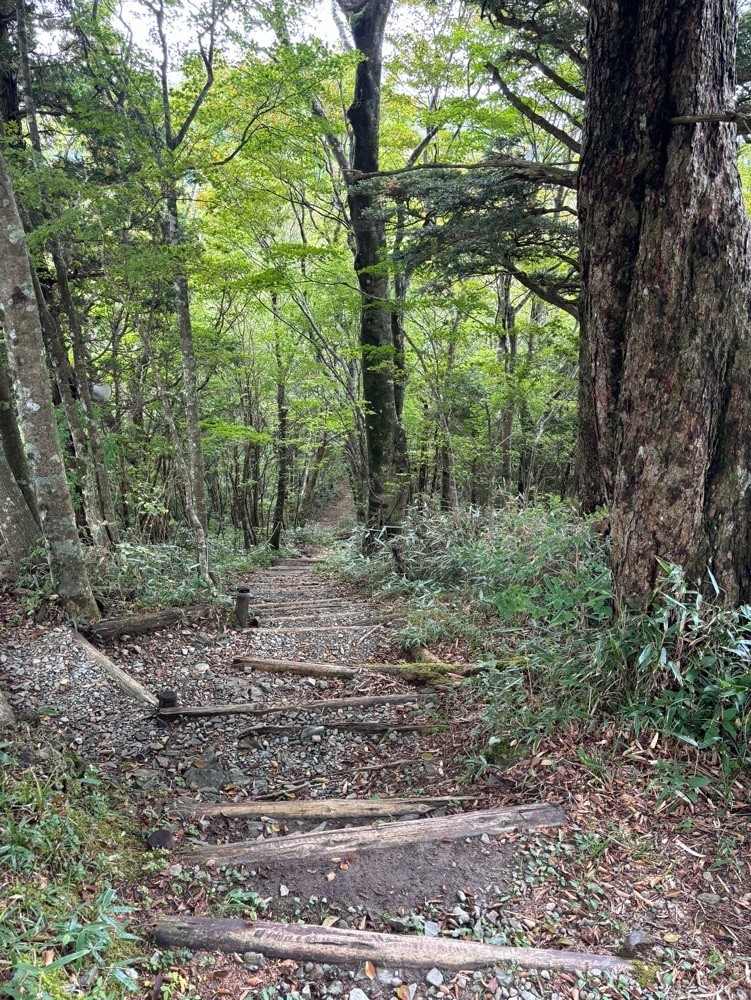 みーなさんが投稿した石鎚神社中宮成就社に関する口コミの画像