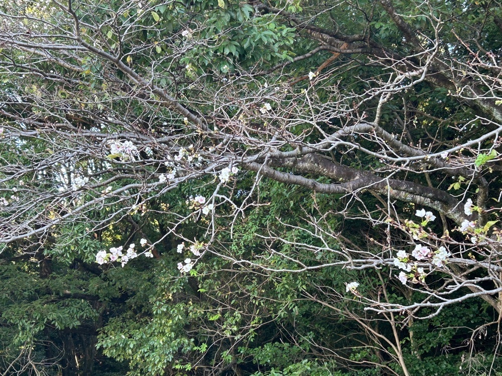 powerful_walking_41b6さんが投稿した猪高緑地に関する口コミの画像