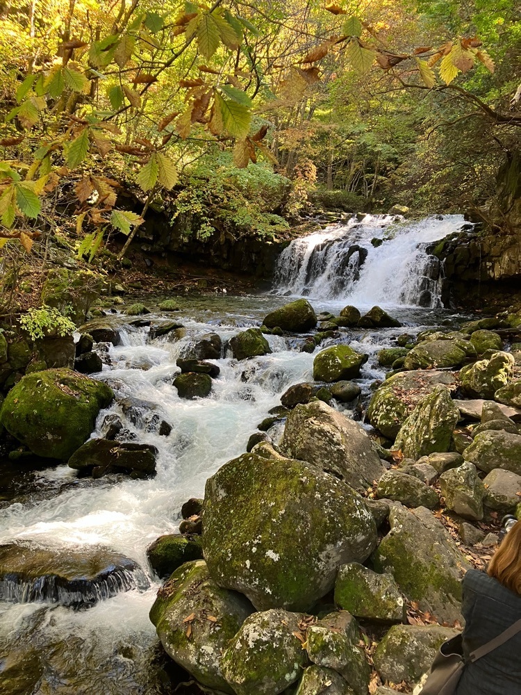 Nさんが投稿した大滝（長野県茅野市）に関する口コミの画像