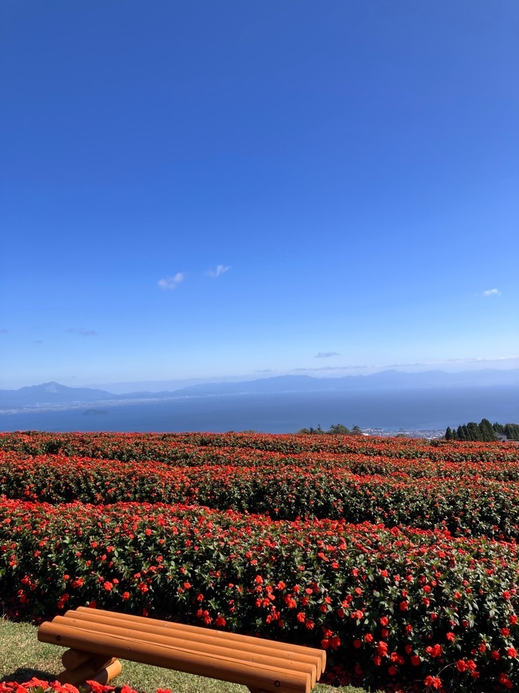 ステアリング人さんが投稿した箱館山コキアパークに関する口コミの画像