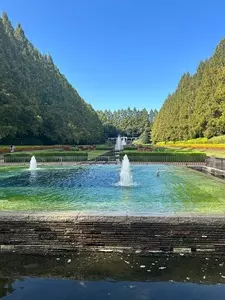 相模原公園内 緑の街