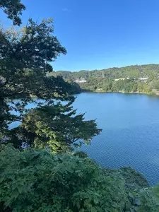 津久井湖観光センター