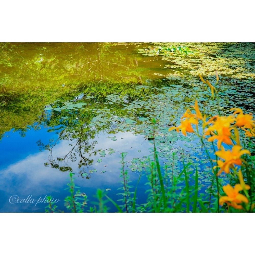 urban_garden_243aさんが投稿した六甲オルゴールミュージアムに関する口コミの画像