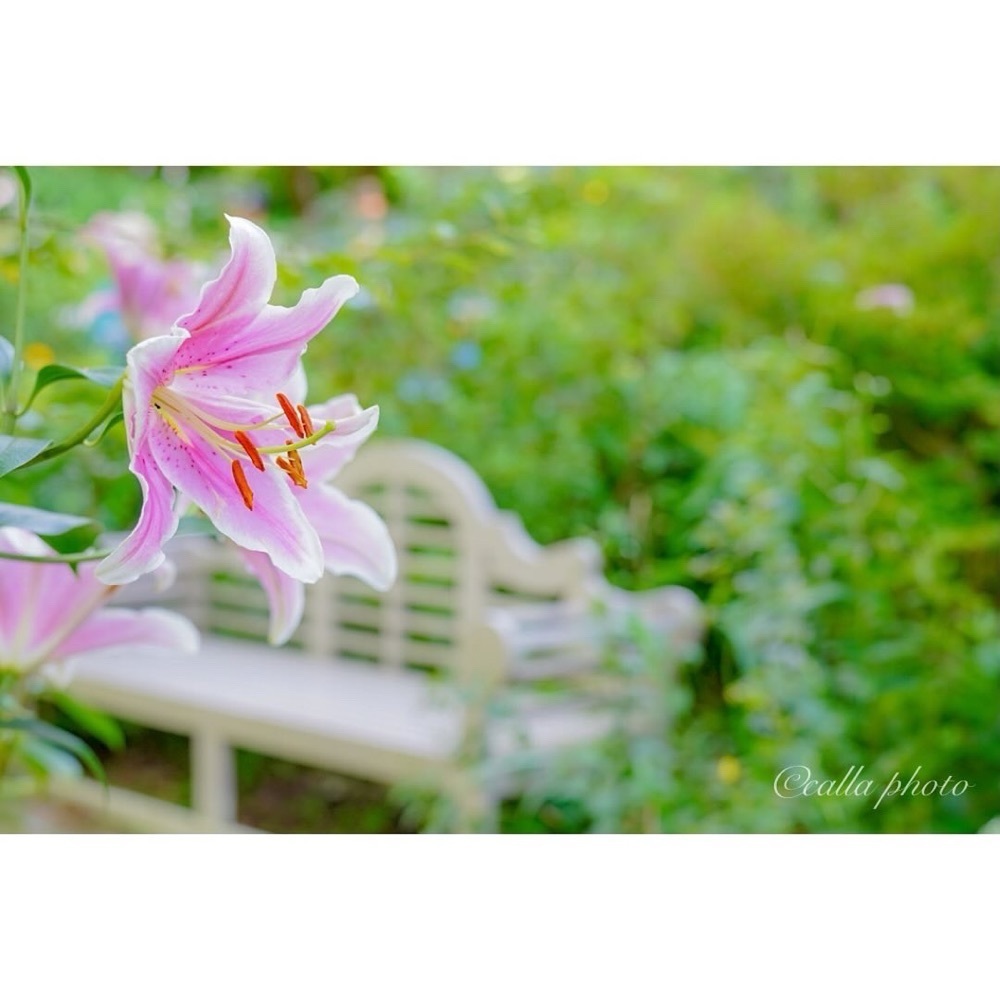 urban_garden_243aさんが投稿した六甲オルゴールミュージアムに関する口コミの画像