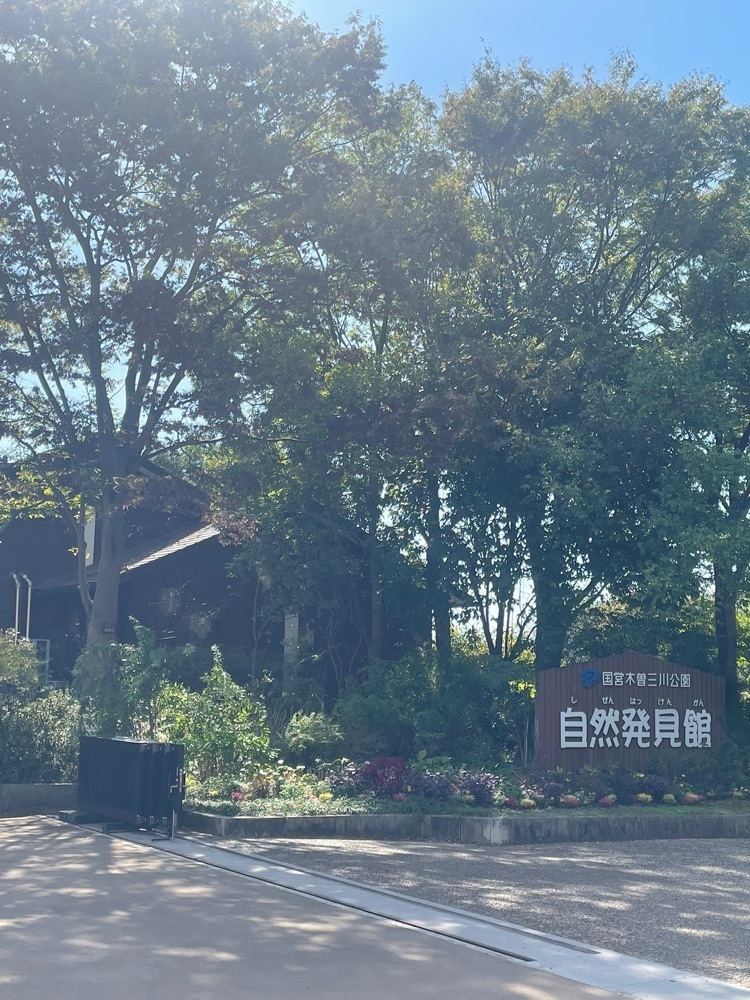 旅する〇〇さんが投稿した河川環境楽園に関する口コミの画像
