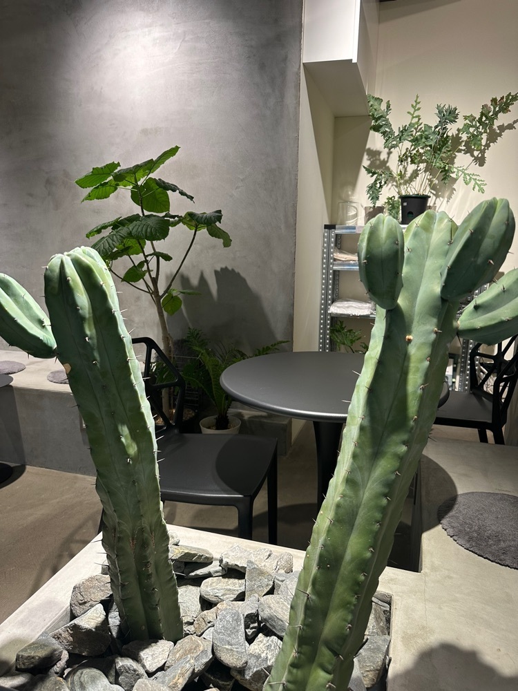 ten_ten602の福岡グルメさんが投稿したGO PLANT FUKUOKA（ゴー プラント フクオカ）に関する口コミの画像