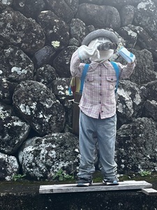 鬼木棚田（日本の棚田百選） 5枚目