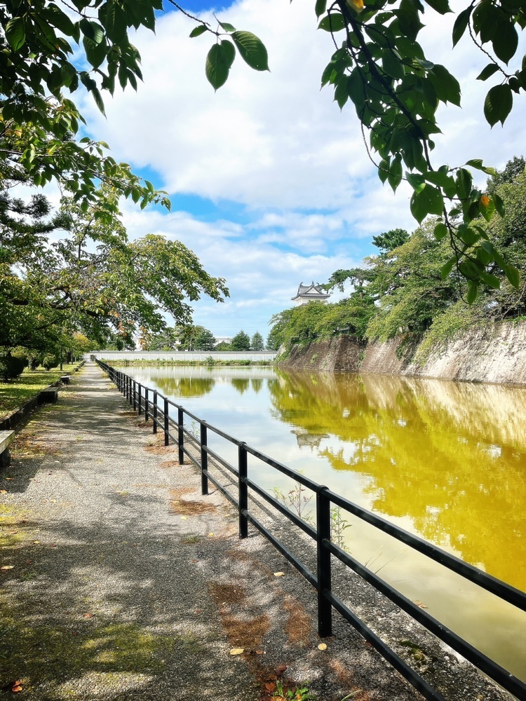 猫なぎ。さんが投稿した新発田城址公園に関する口コミの画像