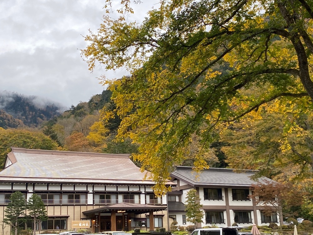 Musashiさんが投稿した金精峠に関する口コミの画像