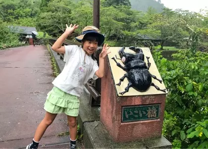 直川憩の森公園キャンプ場