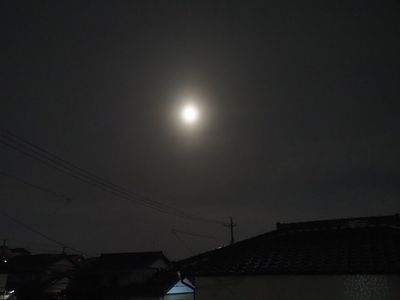 ハックドラッグ 富丘店
