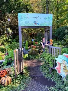 白樺リゾート黄金アカシアの森展望リフト