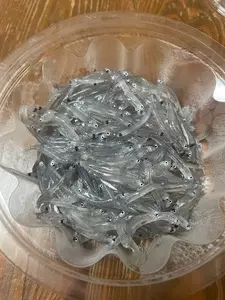 しらす屋 カネナカ商店