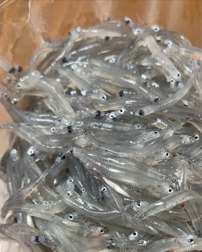 hirokororinさんが投稿したしらす屋 カネナカ商店に関する口コミの画像