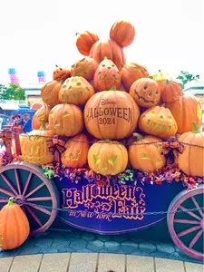 東京ディズニーリゾート(R)
