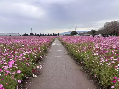 キリンビアファーム 福岡