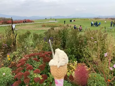 レークヒル・ファーム（Lake-Hill Farm）