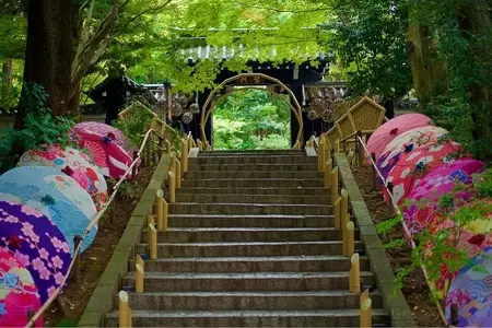 読売ジャイアンツ球場