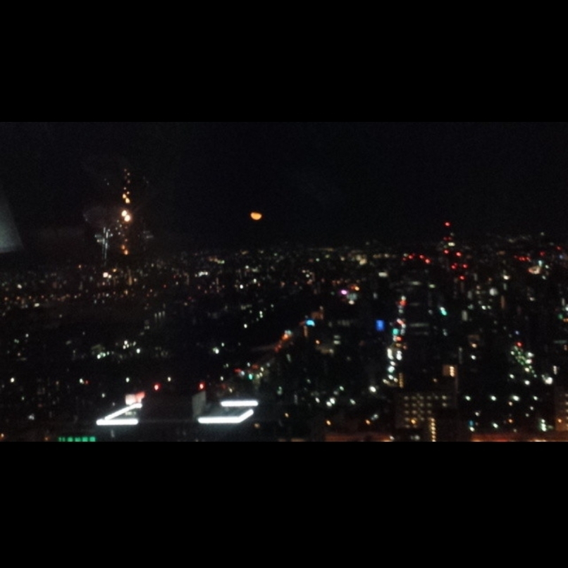 sakur776さんが投稿したザ・ワンアンドオンリー（THE ONE AND ONLY）に関する口コミの画像