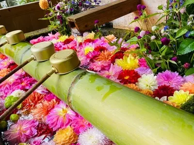 白根神社