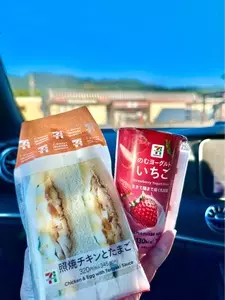セブンイレブン 塩沢石打SA下り店