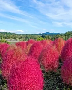 るるパーク(大分農業文化公園)