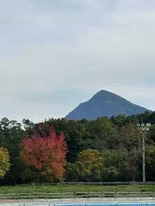 メープルベース（MAPLE BASE）