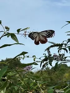 ソト遊びの森