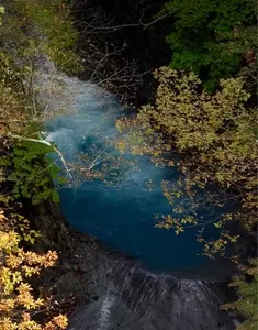 那須平成の森