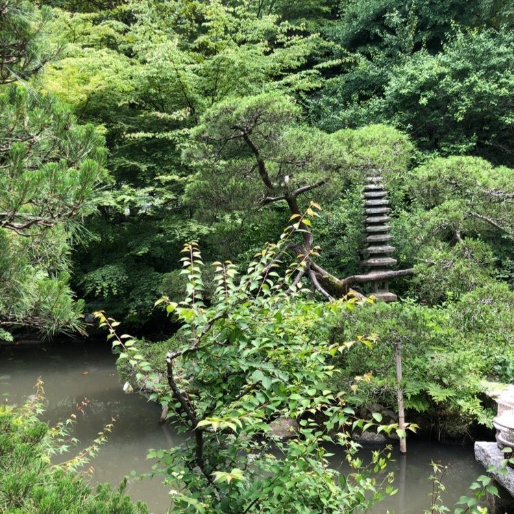 wonderfulさんが投稿した光則寺に関する口コミの画像