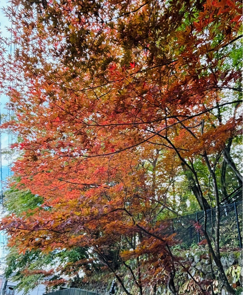それなはとけさんが投稿したホテル　木暮に関する口コミの画像