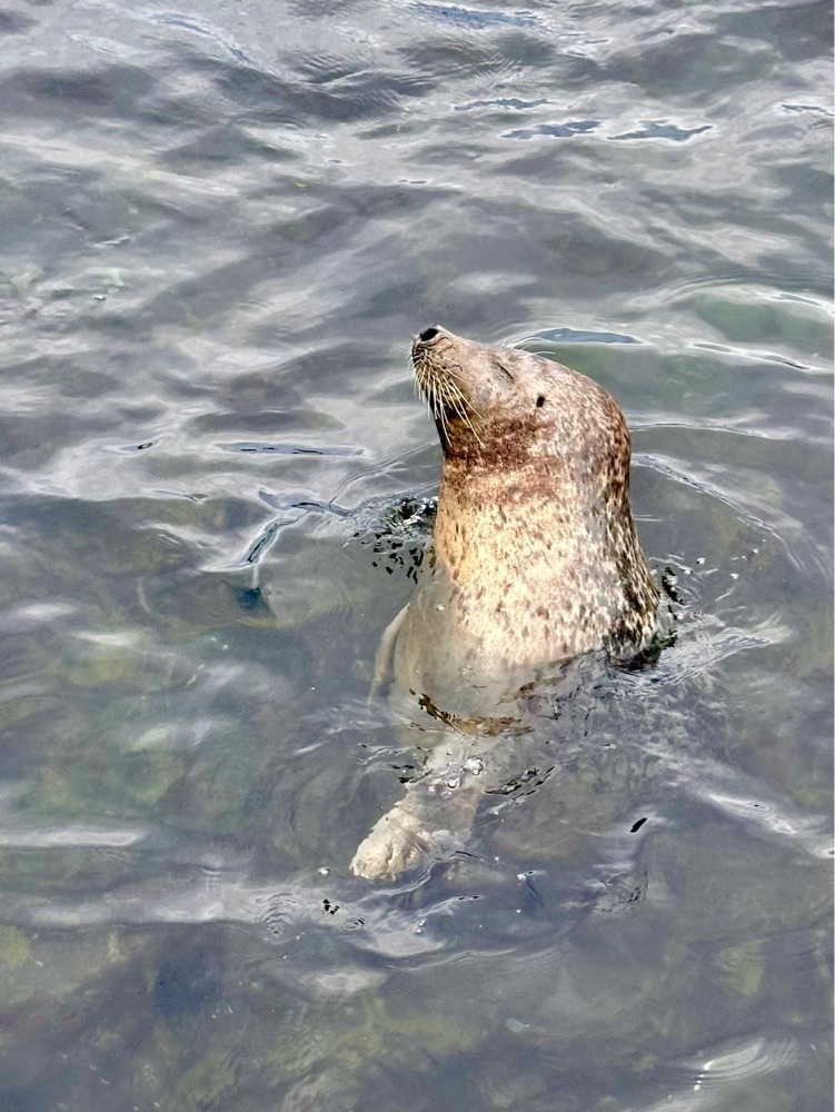 nico☺︎さんが投稿したおたる水族館に関する口コミの画像