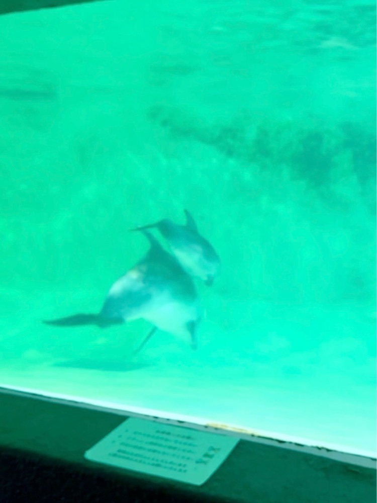 nico☺︎さんが投稿したおたる水族館に関する口コミの画像