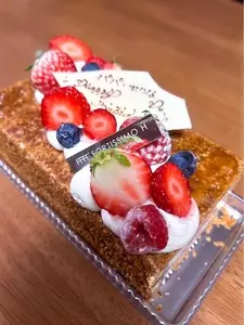 フォルテシモ アッシュ（FORTISSIMO H）