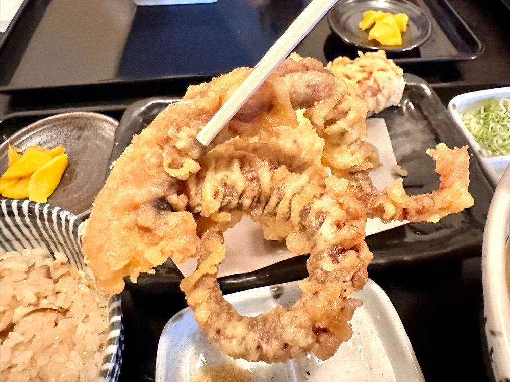 かずくんさんが投稿した讃岐うどん 白庵（BYAKUAN びゃくあん）に関する口コミの画像