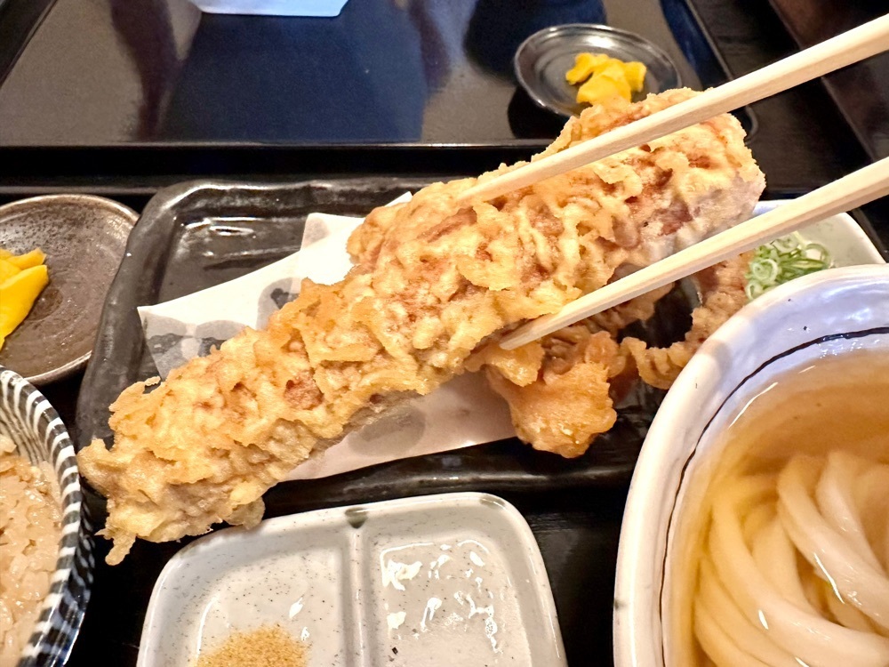 かずくんさんが投稿した讃岐うどん 白庵（BYAKUAN びゃくあん）に関する口コミの画像