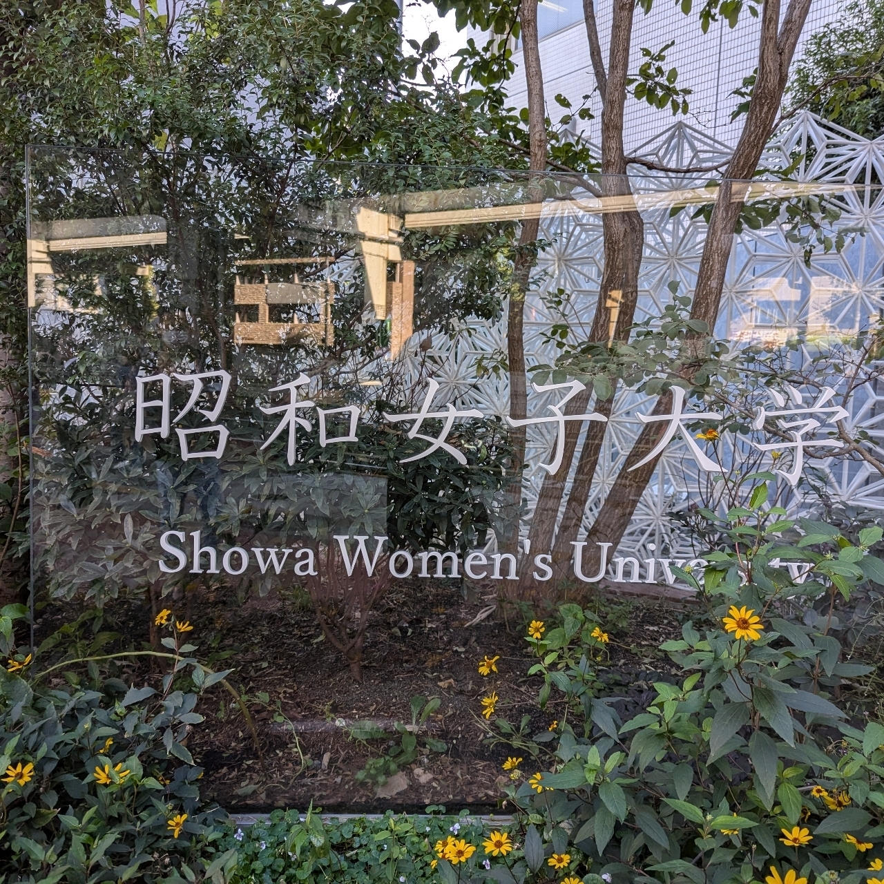Cates (*^o^*)❤️さんが投稿したドナテロウズ 昭和女子大学店に関する口コミの画像