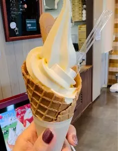 ヒタチジェラード