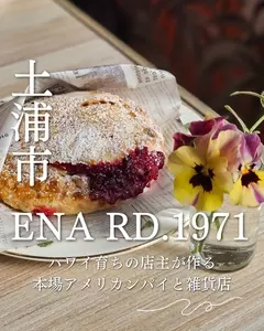 ENA RD.1971（エナロード）