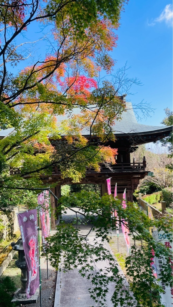 みぃさんが投稿した大山寺に関する口コミの画像