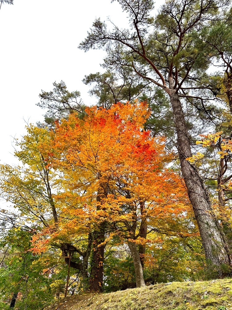 からっ風②さんが投稿した裏磐梯高原ホテルに関する口コミの画像
