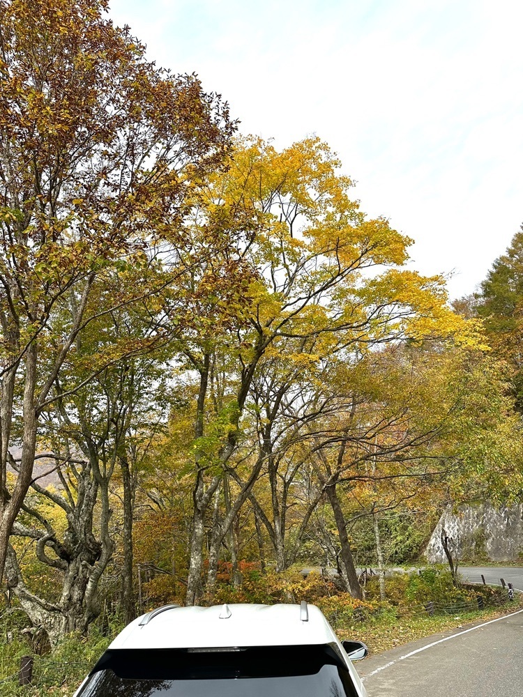 からっ風②さんが投稿した裏磐梯高原ホテルに関する口コミの画像